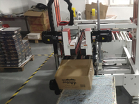 10. Automatic outer box packaging